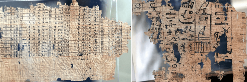 Ancient Egyptian papyri (over 4,500 years old) detailing administrative details such as wages and food rations.